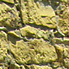 auria