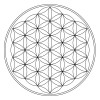 YO60860